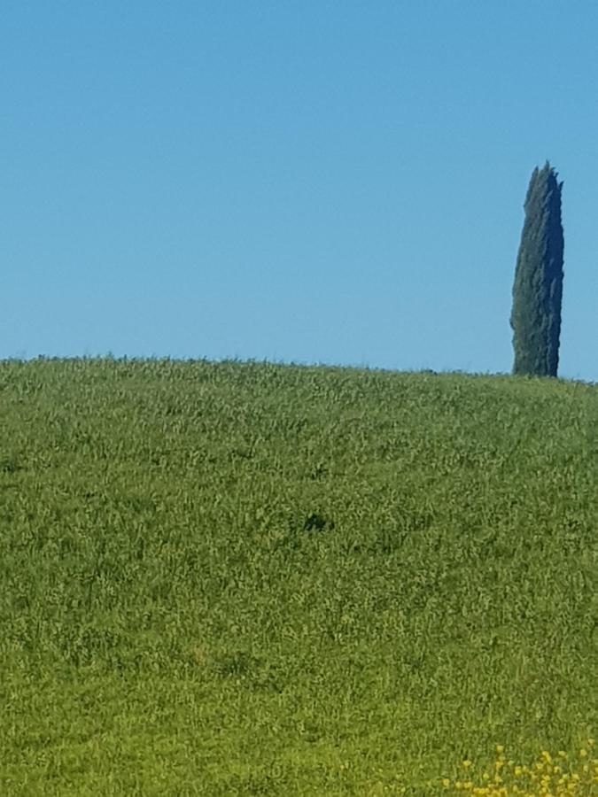 Casa Per L'Osticcio Vista Sulla Val D'Orcia Apartment Montalcino Exterior photo