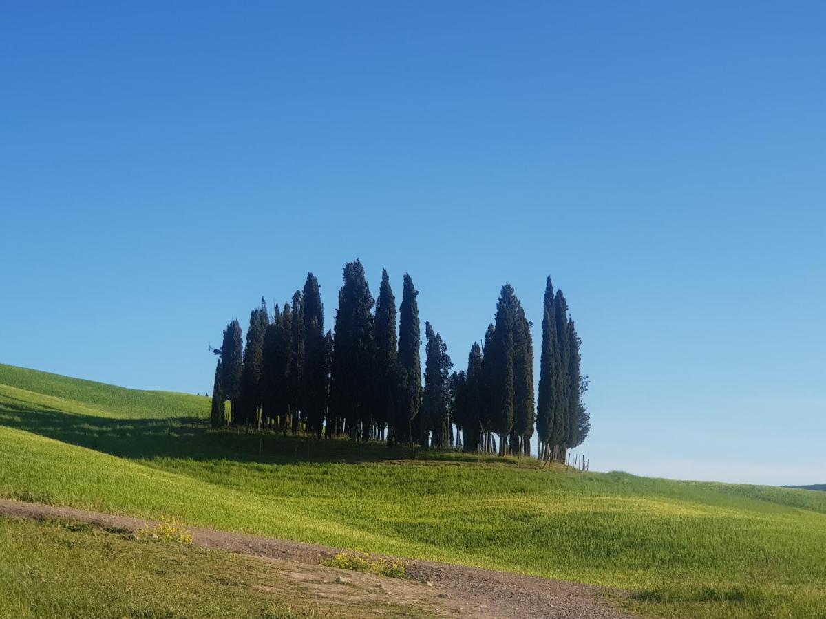 Casa Per L'Osticcio Vista Sulla Val D'Orcia Apartment Montalcino Exterior photo