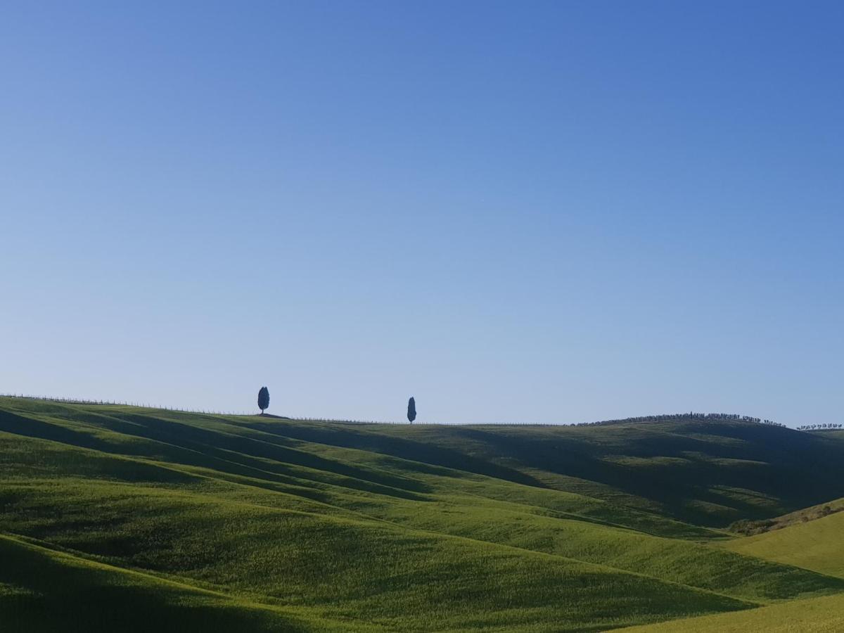 Casa Per L'Osticcio Vista Sulla Val D'Orcia Apartment Montalcino Exterior photo